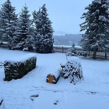 Schoene Mit Gemeinsamer Nutzung Von Bad, Toilette Und Kueche *