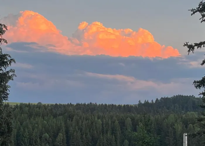 Schoene Mit Gemeinsamer Nutzung Von Bad, Toilette Und Kueche *