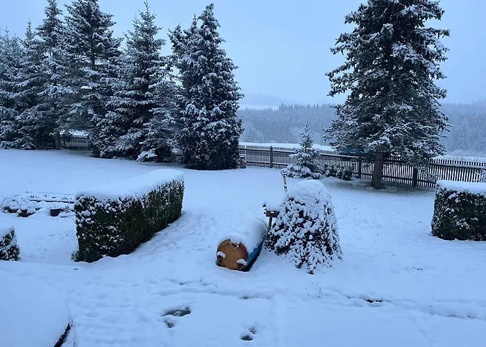 Schoene Mit Gemeinsamer Nutzung Von Bad, Toilette Und Kueche *